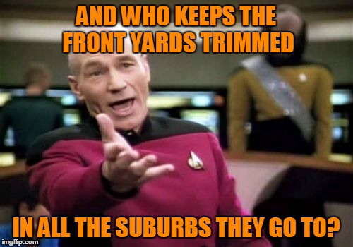Picard Wtf Meme | AND WHO KEEPS THE FRONT YARDS TRIMMED IN ALL THE SUBURBS THEY GO TO? | image tagged in memes,picard wtf | made w/ Imgflip meme maker