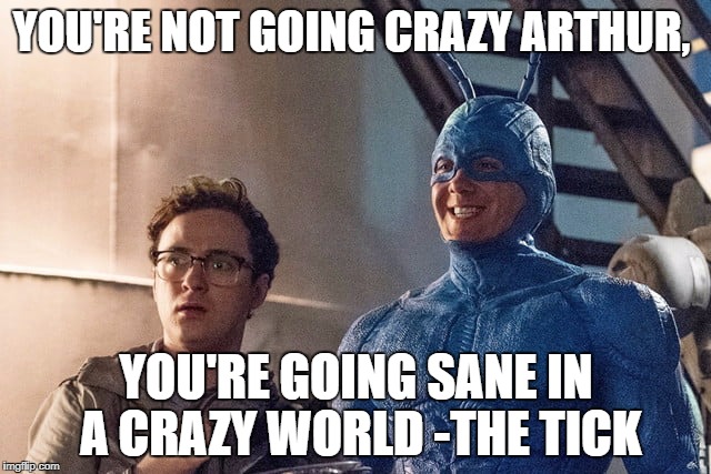 YOU'RE NOT GOING CRAZY ARTHUR, YOU'RE GOING SANE IN A CRAZY WORLD -THE TICK | image tagged in tick | made w/ Imgflip meme maker