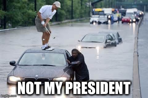 NOT MY PRESIDENT | image tagged in not | made w/ Imgflip meme maker