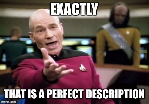 Picard Wtf Meme | EXACTLY THAT IS A PERFECT DESCRIPTION | image tagged in memes,picard wtf | made w/ Imgflip meme maker