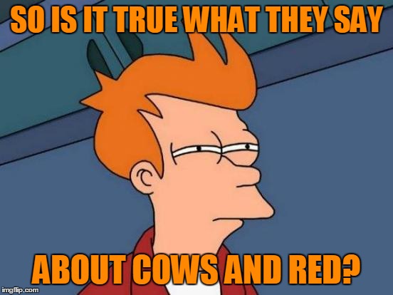 Futurama Fry Meme | SO IS IT TRUE WHAT THEY SAY ABOUT COWS AND RED? | image tagged in memes,futurama fry | made w/ Imgflip meme maker