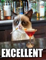 EXCELLENT | made w/ Imgflip meme maker