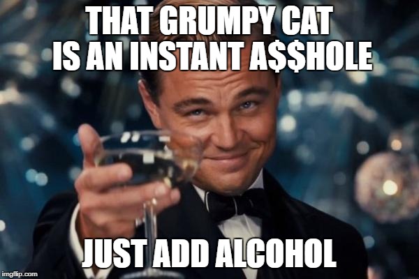 Leonardo Dicaprio Cheers Meme | THAT GRUMPY CAT IS AN INSTANT A$$HOLE JUST ADD ALCOHOL | image tagged in memes,leonardo dicaprio cheers | made w/ Imgflip meme maker