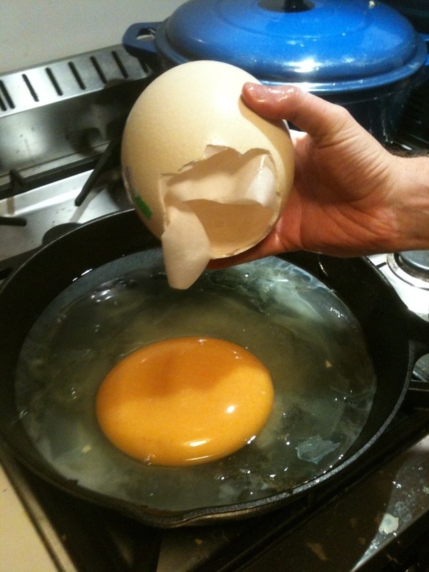 Cooking dragon egg Blank Meme Template