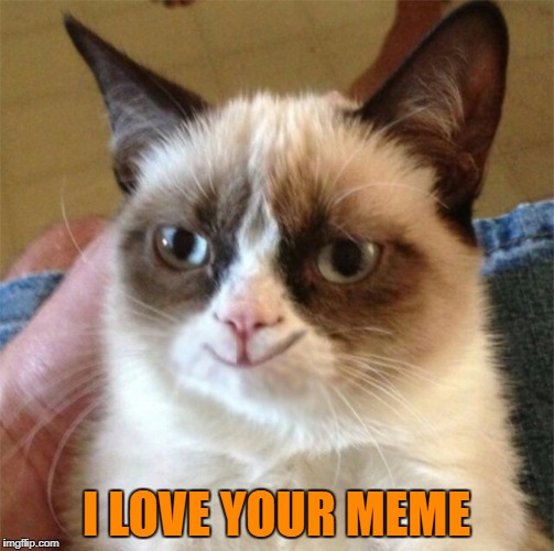 I LOVE YOUR MEME | made w/ Imgflip meme maker