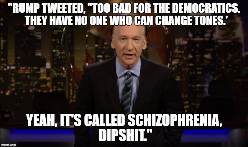 "RUMP TWEETED, "TOO BAD FOR THE DEMOCRATICS.  THEY HAVE NO ONE WHO CAN CHANGE TONES.'; YEAH, IT'S CALLED SCHIZOPHRENIA, DIPSHIT." | image tagged in trump | made w/ Imgflip meme maker