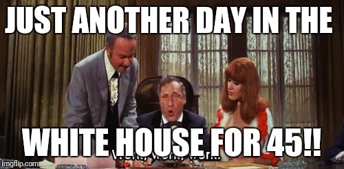 Day at work for 45 | JUST ANOTHER DAY IN THE; WHITE HOUSE FOR 45!! | image tagged in funny memes | made w/ Imgflip meme maker