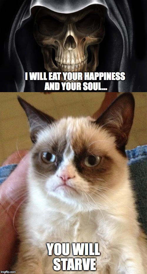 too bad the cat wasn't lying! | I WILL EAT YOUR HAPPINESS AND YOUR SOUL... YOU WILL STARVE | image tagged in grumpy cat | made w/ Imgflip meme maker