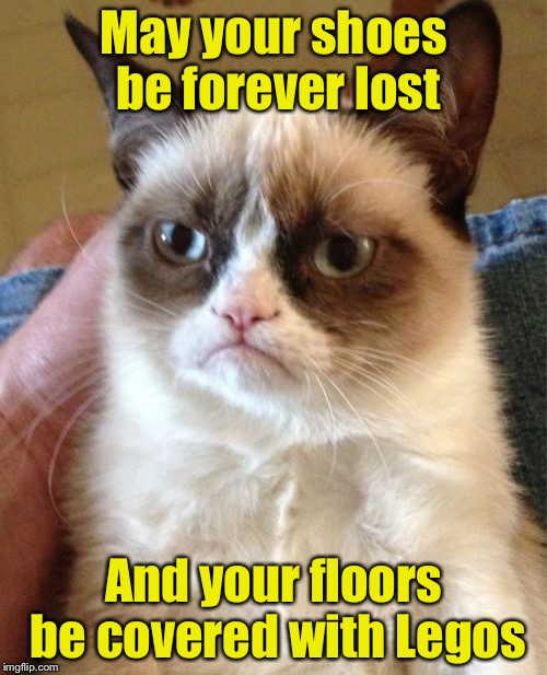 A Grumpy Curse | May your shoes be forever lost; And your floors be covered with Legos | image tagged in memes,grumpy cat,legos | made w/ Imgflip meme maker