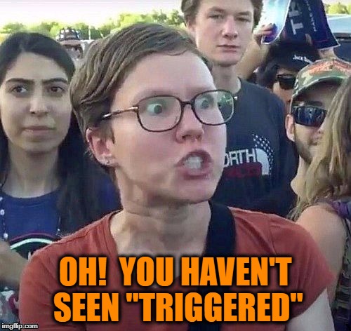foggy | OH!  YOU HAVEN'T SEEN "TRIGGERED" | image tagged in triggered feminist | made w/ Imgflip meme maker