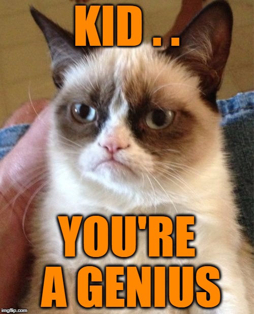 Grumpy Cat Meme | KID . . YOU'RE A GENIUS | image tagged in memes,grumpy cat | made w/ Imgflip meme maker