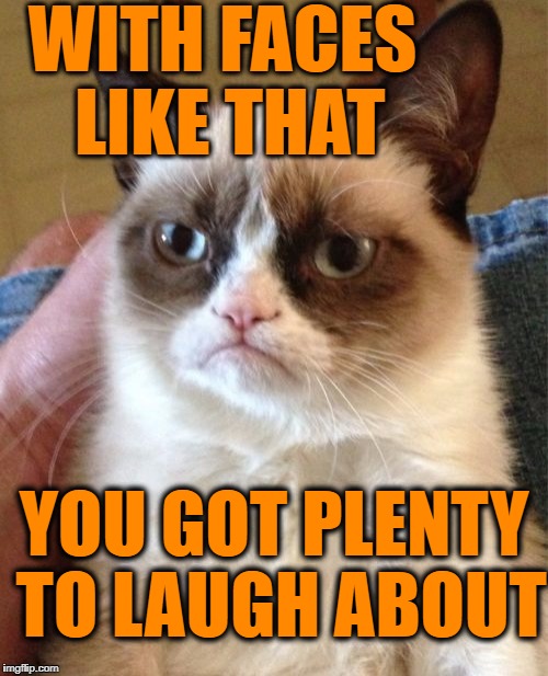 Grumpy Cat Meme | WITH FACES LIKE THAT YOU GOT PLENTY TO LAUGH ABOUT | image tagged in memes,grumpy cat | made w/ Imgflip meme maker
