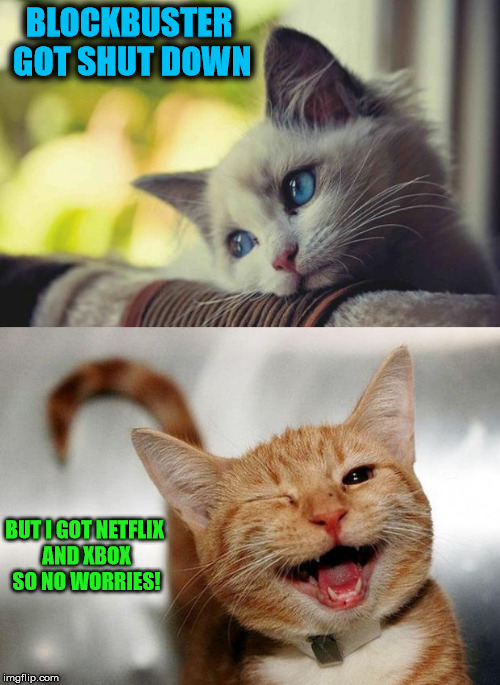 Sad Happy Cat | BLOCKBUSTER GOT SHUT DOWN; BUT I GOT NETFLIX AND XBOX SO NO WORRIES! | image tagged in sad happy cat | made w/ Imgflip meme maker