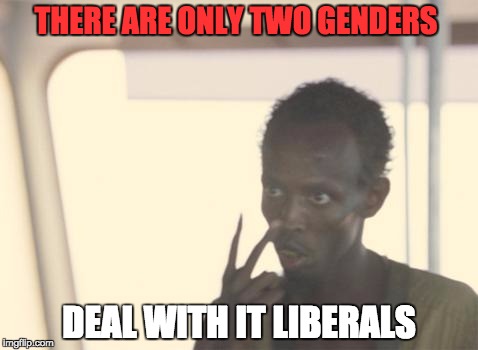 There are only 2 genders | THERE ARE ONLY TWO GENDERS; DEAL WITH IT LIBERALS | image tagged in memes,i'm the captain now | made w/ Imgflip meme maker