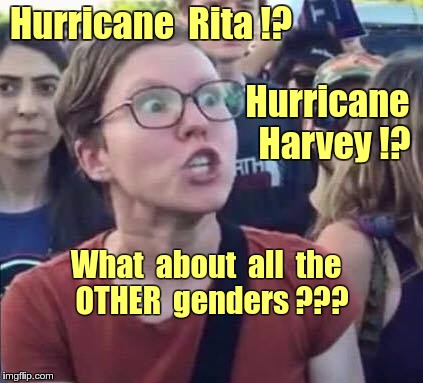 Hurricane Discrimination ? | Hurricane  Rita !? Hurricane  Harvey !? What  about  all  the   OTHER  genders ??? | image tagged in angry liberal,memes,hurricane harvey,transgender | made w/ Imgflip meme maker