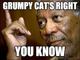 Memes, He's Right You Know | GRUMPY CAT'S RIGHT YOU KNOW | image tagged in memes he's right you know | made w/ Imgflip meme maker