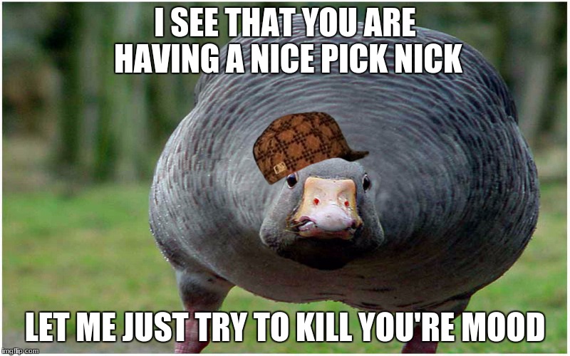 Mood killer goose | I SEE THAT YOU ARE HAVING A NICE PICK NICK; LET ME JUST TRY TO KILL YOU'RE MOOD | image tagged in angry goose,scumbag,goose,bird,birb,angry | made w/ Imgflip meme maker
