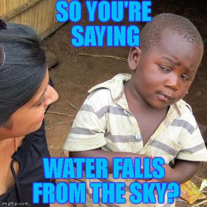 wtf is "rain"? | SO YOU'RE SAYING; WATER FALLS FROM THE SKY? | image tagged in memes,third world skeptical kid,rain,water shortage | made w/ Imgflip meme maker