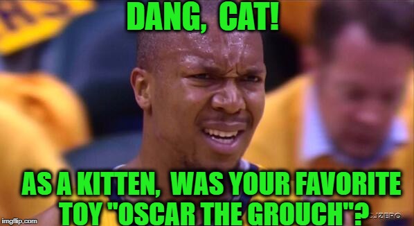 huh | DANG,  CAT! AS A KITTEN,  WAS YOUR FAVORITE TOY "OSCAR THE GROUCH"? | image tagged in huh | made w/ Imgflip meme maker