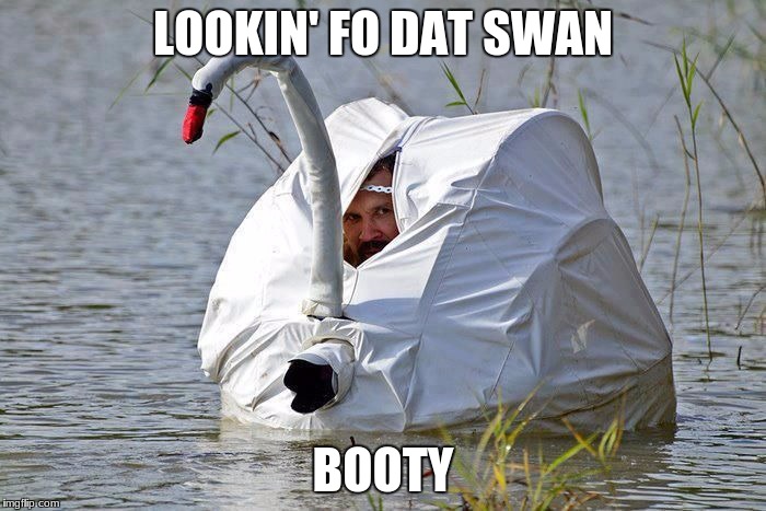 swanity swooty | LOOKIN' FO DAT SWAN; BOOTY | image tagged in cheating is wrong,memes | made w/ Imgflip meme maker