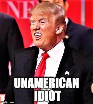 UNAMERICAN IDIOT | image tagged in idiot | made w/ Imgflip meme maker