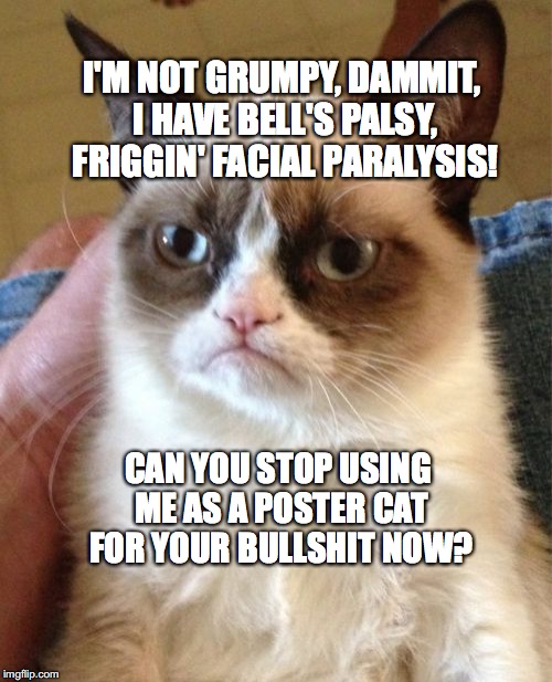 Grumpy Cat has had it! | I'M NOT GRUMPY, DAMMIT, I HAVE BELL'S PALSY, FRIGGIN' FACIAL PARALYSIS! CAN YOU STOP USING ME AS A POSTER CAT FOR YOUR BULLSHIT NOW? | image tagged in memes,grumpy cat,bell's palsy,bobcrespocom | made w/ Imgflip meme maker