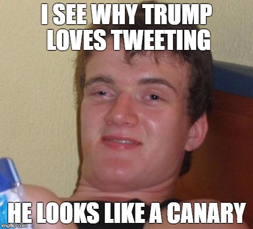 10 Guy Meme | I SEE WHY TRUMP LOVES TWEETING; HE LOOKS LIKE A CANARY | image tagged in memes,10 guy | made w/ Imgflip meme maker