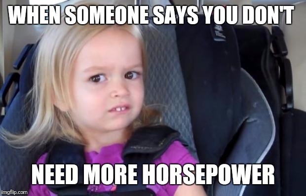 Side Eyeing Chloe | WHEN SOMEONE SAYS YOU DON'T; NEED MORE HORSEPOWER | image tagged in side eyeing chloe | made w/ Imgflip meme maker