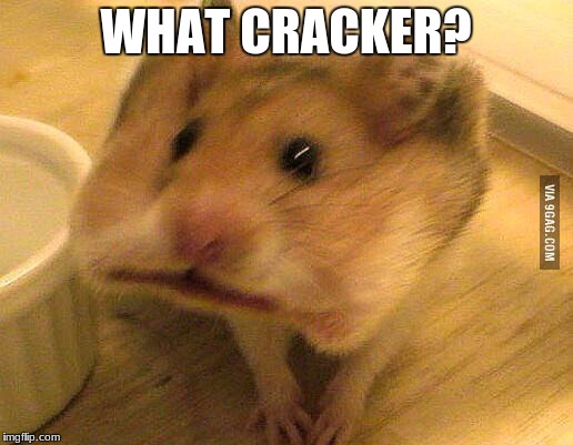 Craker Hamster | WHAT CRACKER? | image tagged in craker hamster | made w/ Imgflip meme maker