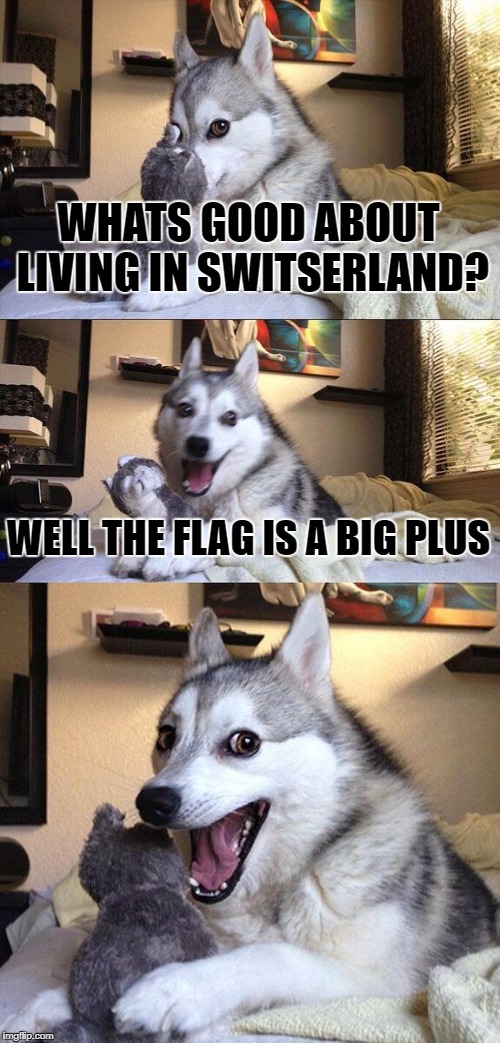 Bad Pun Dog Meme | WHATS GOOD ABOUT LIVING IN SWITSERLAND? WELL THE FLAG IS A BIG PLUS | image tagged in memes,bad pun dog | made w/ Imgflip meme maker
