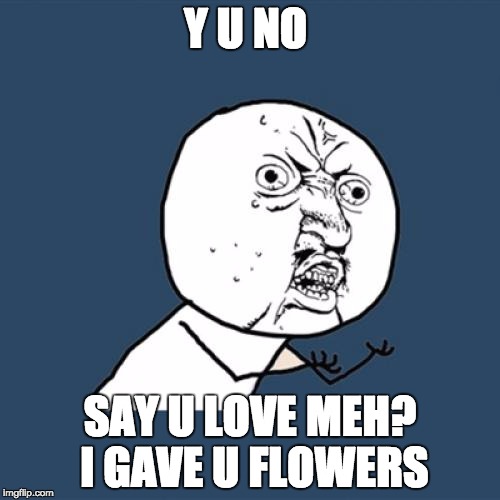 Y U No Meme | Y U NO; SAY U LOVE MEH? I GAVE U FLOWERS | image tagged in memes,y u no | made w/ Imgflip meme maker