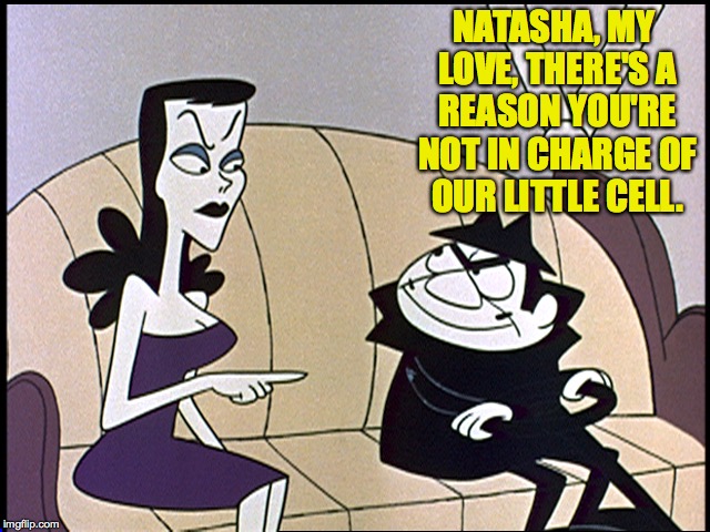 NATASHA, MY LOVE, THERE'S A REASON YOU'RE NOT IN CHARGE OF OUR LITTLE CELL. | made w/ Imgflip meme maker