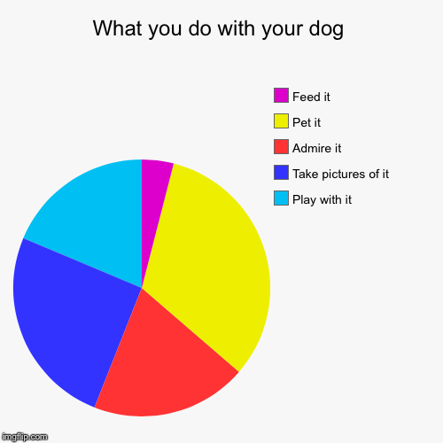 What people actually do with their dogs. | image tagged in funny,pie charts | made w/ Imgflip chart maker