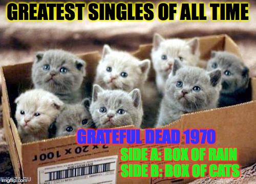 GREATEST SINGLES OF ALL TIME SIDE A: BOX OF RAIN SIDE B: BOX OF CATS GRATEFUL DEAD 1970 | made w/ Imgflip meme maker