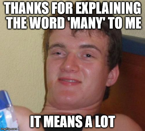 Means a lot | THANKS FOR EXPLAINING THE WORD 'MANY' TO ME; IT MEANS A LOT | image tagged in memes,10 guy,many,means a lot | made w/ Imgflip meme maker
