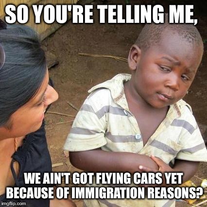 Third World Skeptical Kid | SO YOU'RE TELLING ME, WE AIN'T GOT FLYING CARS YET BECAUSE OF IMMIGRATION REASONS? | image tagged in memes,third world skeptical kid | made w/ Imgflip meme maker