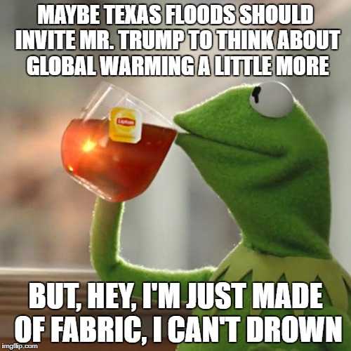 But That's None Of My Business Meme | MAYBE TEXAS FLOODS SHOULD INVITE MR. TRUMP TO THINK ABOUT GLOBAL WARMING A LITTLE MORE; BUT, HEY, I'M JUST MADE OF FABRIC, I CAN'T DROWN | image tagged in memes,but thats none of my business,kermit the frog | made w/ Imgflip meme maker