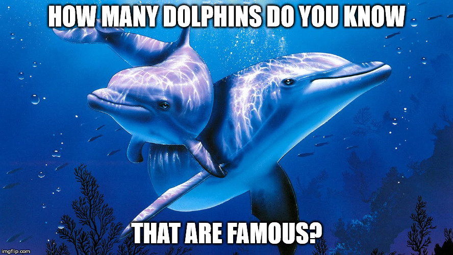 Dolphins Meme | HOW MANY DOLPHINS DO YOU KNOW; THAT ARE FAMOUS? | image tagged in dolpjins meme | made w/ Imgflip meme maker
