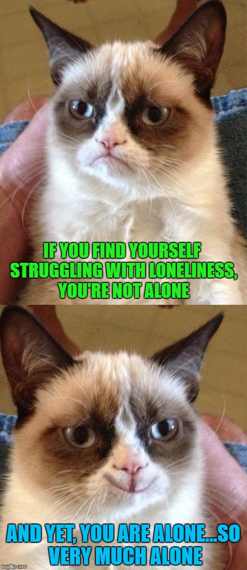 If you find yourself lonely...there's always the fellowship of Imgflip!!!  |  IF YOU FIND YOURSELF STRUGGLING WITH LONELINESS, YOU'RE NOT ALONE; AND YET, YOU ARE ALONE...SO VERY MUCH ALONE | image tagged in grumpy cat,memes,loneliness,funny,imgflip,fellowship | made w/ Imgflip meme maker