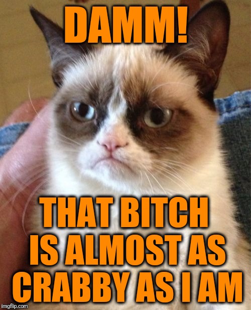 Grumpy Cat Meme | DAMM! THAT B**CH IS ALMOST AS CRABBY AS I AM | image tagged in memes,grumpy cat | made w/ Imgflip meme maker