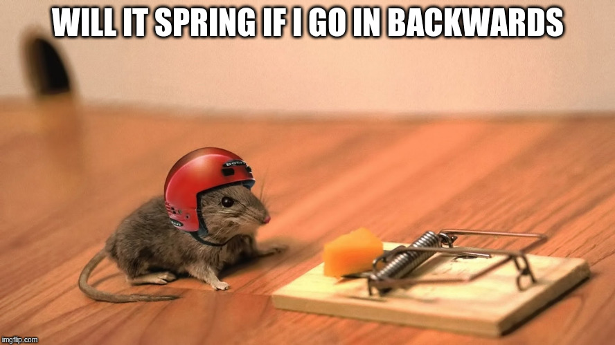 WILL IT SPRING IF I GO IN BACKWARDS | made w/ Imgflip meme maker