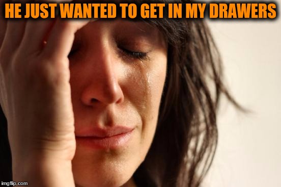 First World Problems Meme | HE JUST WANTED TO GET IN MY DRAWERS | image tagged in memes,first world problems | made w/ Imgflip meme maker