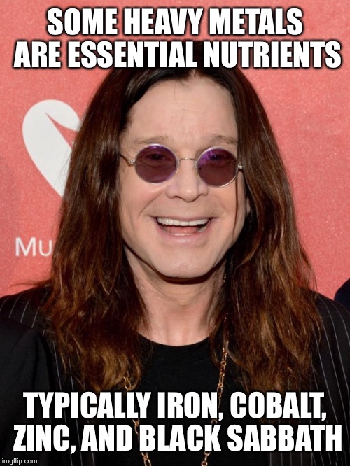 SOME HEAVY METALS ARE ESSENTIAL NUTRIENTS TYPICALLY IRON, COBALT, ZINC, AND BLACK SABBATH | made w/ Imgflip meme maker