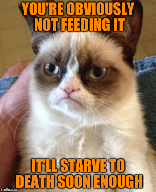 Grumpy Cat Meme | YOU'RE OBVIOUSLY NOT FEEDING IT IT'LL STARVE TO DEATH SOON ENOUGH | image tagged in memes,grumpy cat | made w/ Imgflip meme maker