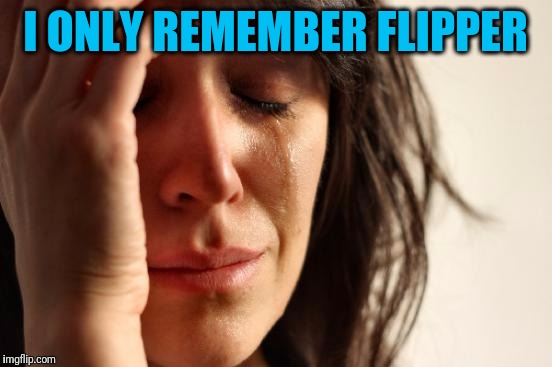 First World Problems Meme | I ONLY REMEMBER FLIPPER | image tagged in memes,first world problems | made w/ Imgflip meme maker