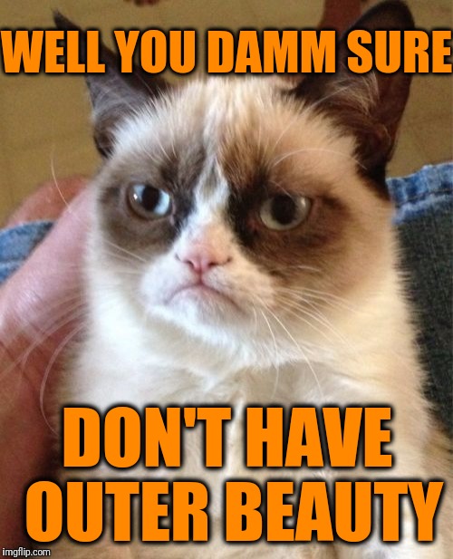 Grumpy Cat Meme | WELL YOU DAMM SURE DON'T HAVE OUTER BEAUTY | image tagged in memes,grumpy cat | made w/ Imgflip meme maker