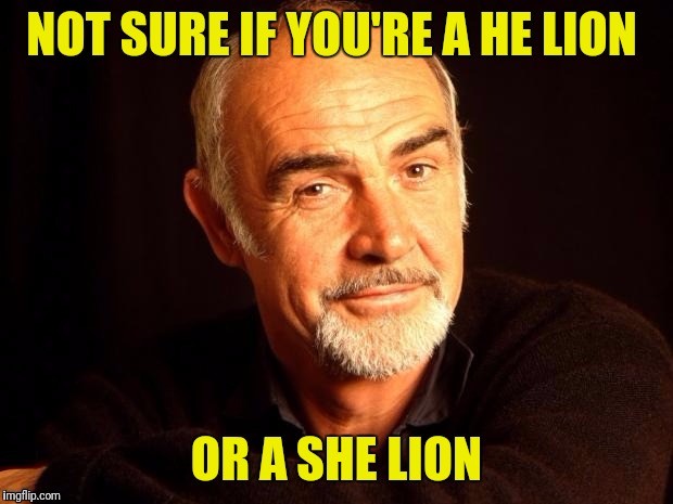 NOT SURE IF YOU'RE A HE LION OR A SHE LION | made w/ Imgflip meme maker