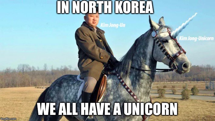 Unicorn Kim | IN NORTH KOREA WE ALL HAVE A UNICORN | image tagged in unicorn kim | made w/ Imgflip meme maker