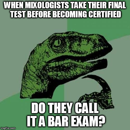 Philosoraptor Meme | WHEN MIXOLOGISTS TAKE THEIR FINAL TEST BEFORE BECOMING CERTIFIED; DO THEY CALL IT A BAR EXAM? | image tagged in memes,philosoraptor | made w/ Imgflip meme maker