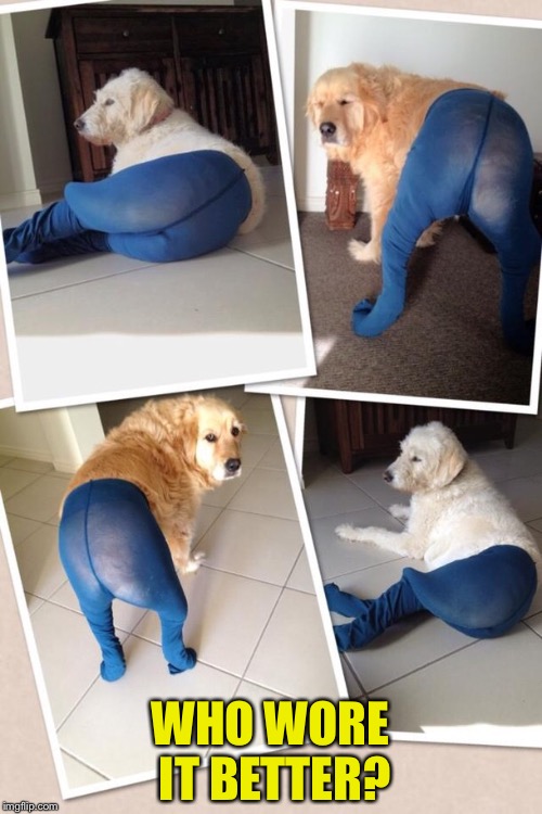 Dog leggings | WHO WORE IT BETTER? | image tagged in dog leggings | made w/ Imgflip meme maker